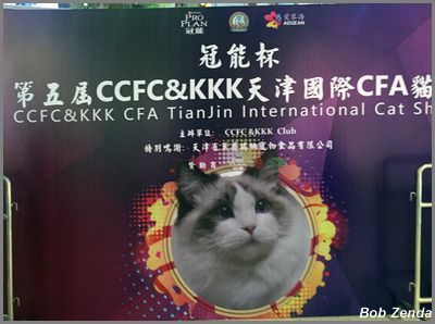 Show hall deco 2